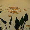 IMG 0964