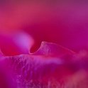 IMG 9882